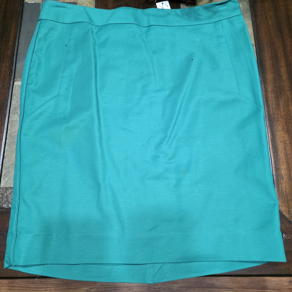 The Limited Green Skirt